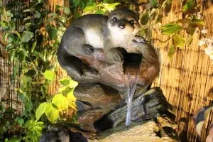 Solar Animal Themed Water Features