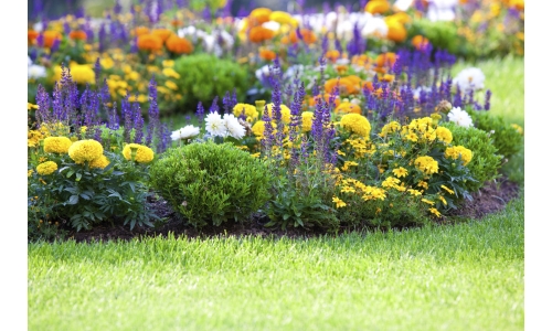 5 Garden Ideas for a Fresh New Look