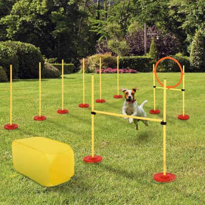  Dogs 4-Obstacle ABS Agility Training Set Yellow/Red
