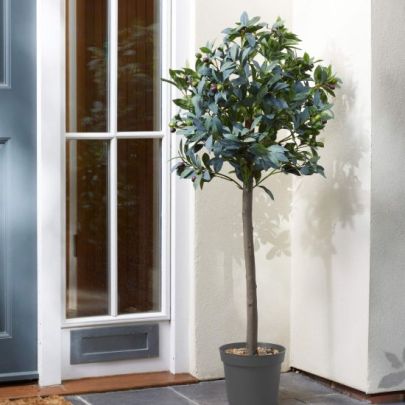 5605008MO | Olive Tree 120 Cm 2 Pack Artifical Trees
