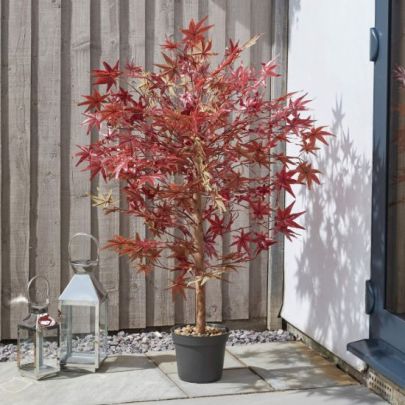 5605009MO | Red Acer 120 Cm 2 Pack Artifical Trees