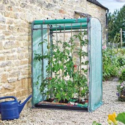 6510006 | Tomato Grozone Max Double Sided Greenhouse
