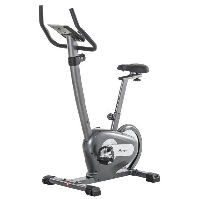  10-Level Adjust Indoor Magnetic Exercise Bike Cardio Workout Bike Trainer