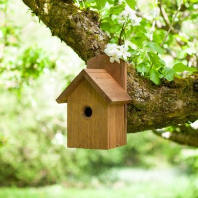7522001 | Premier Nest Box Birdhouse