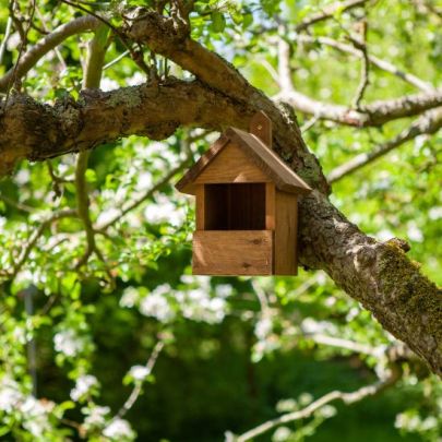 7522002 | Premier Robin Nest Box Birdhouse
