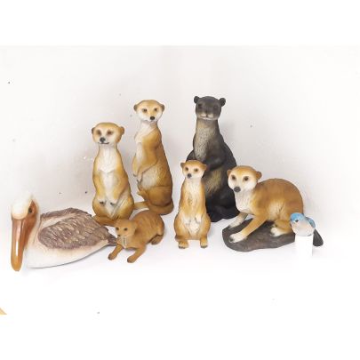 Family of Meerkats & Animals