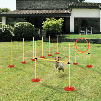 Dogs Plastic 3-Course Agility Set Yellow