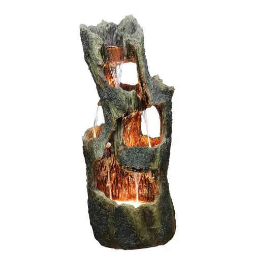 5 Fall Open Tree Trunk Woodland Water Feature