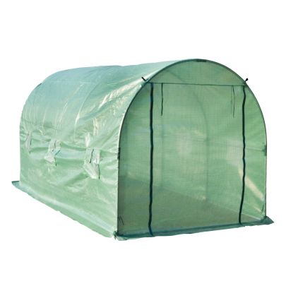 Walk in Greenhouse 4 x 2 M Green