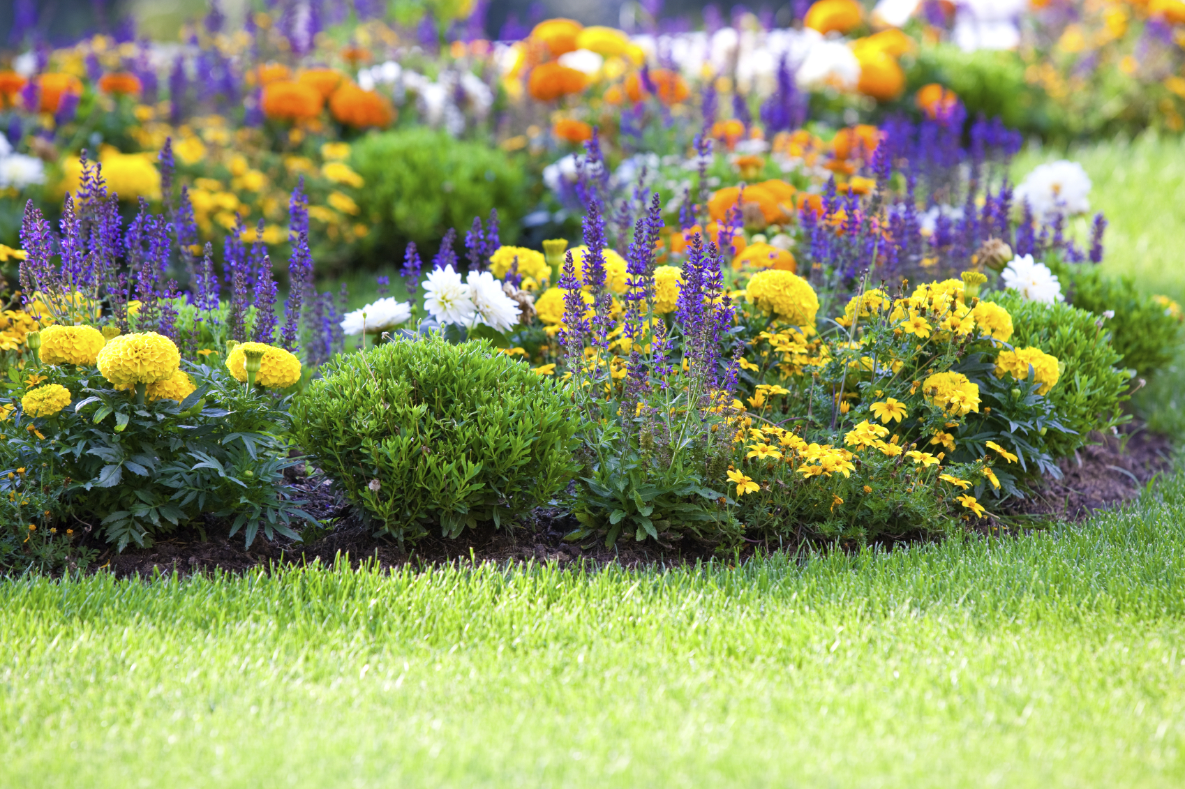 5 Garden Ideas for a Fresh New Look
